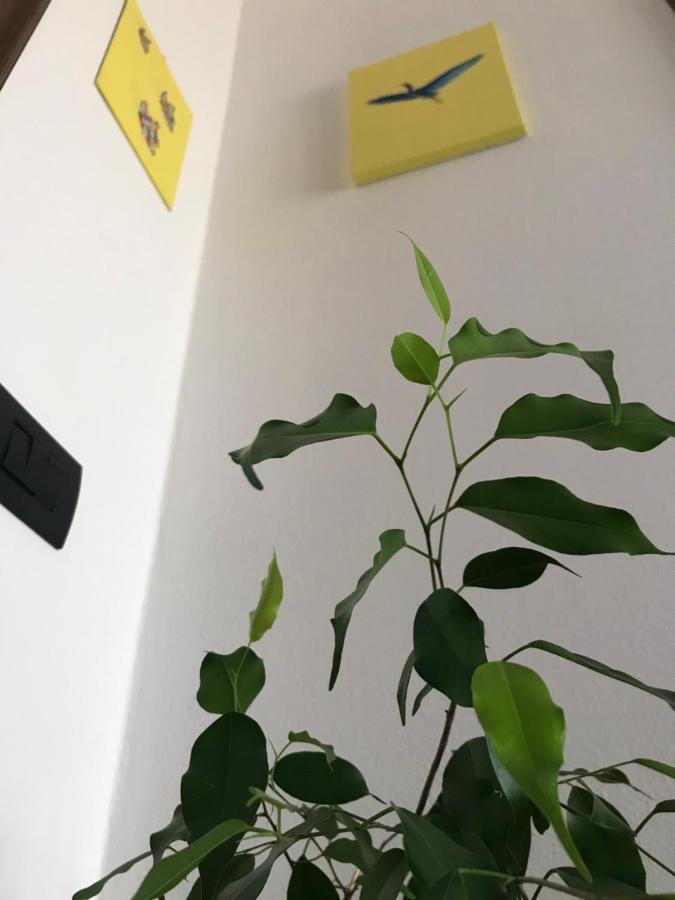 B&B Dal Giotu Gravellona Lomellina Exteriér fotografie